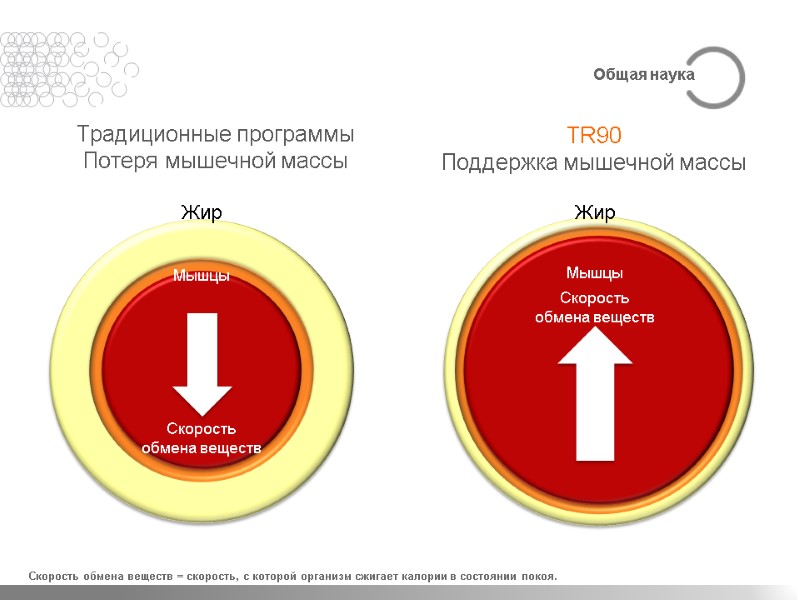 Традиционные программы  Потеря мышечной массы TR90 Поддержка мышечной массы Скорость обмена веществ =